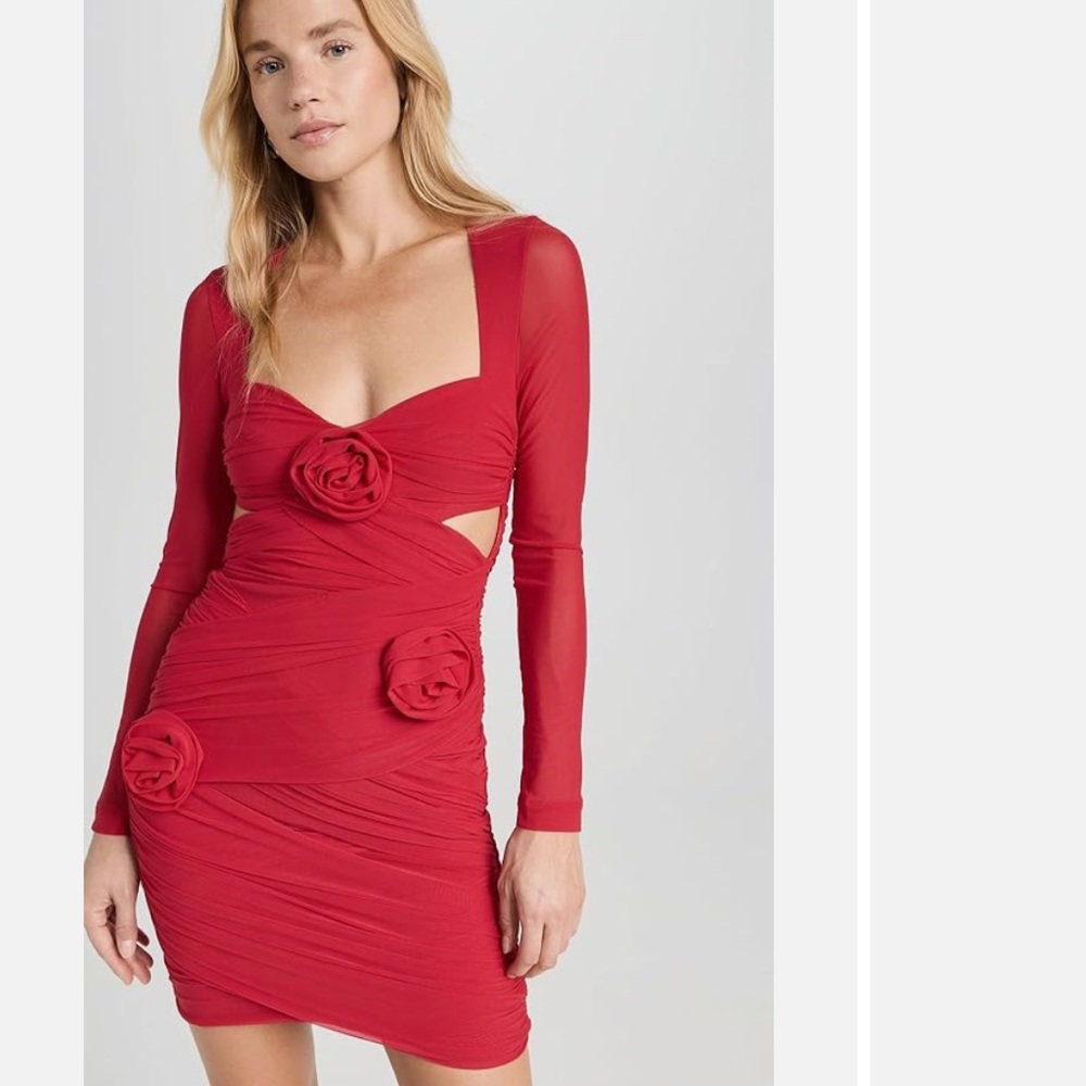 Bardot Pippa Rose Mesh Mini Dress size 6